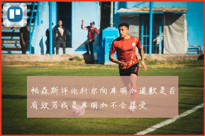 帕森斯评论科尔向库明加道歉是否有效若我是库明加不会接受